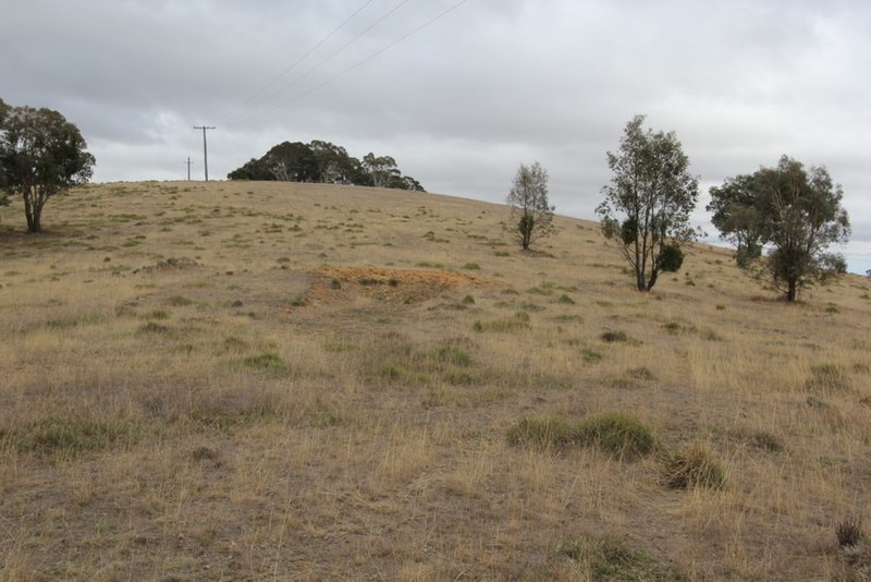 Photo - Lot 1 Reardons Road. , Yass NSW 2582 - Image 13