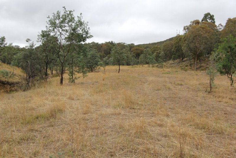 Photo - Lot 1 Reardons Road. , Yass NSW 2582 - Image 21