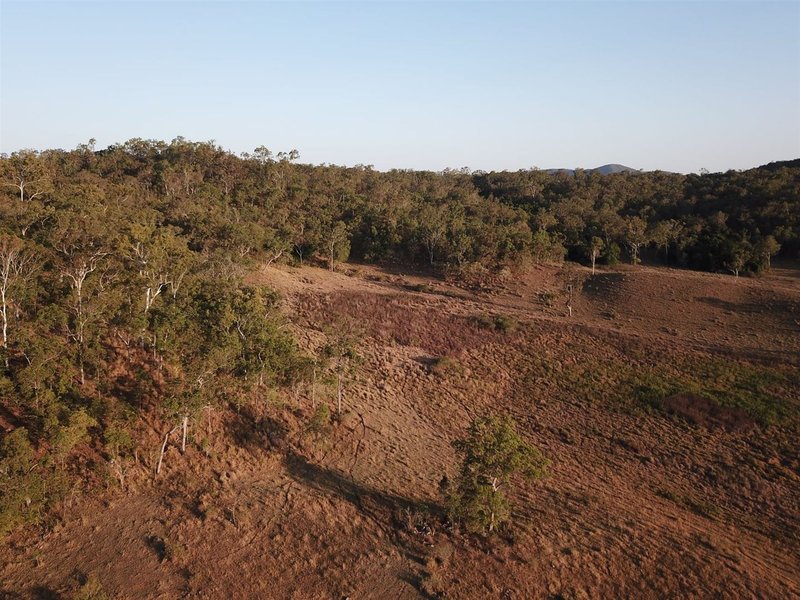 Photo - Lot 1 Redheads Road, Koumala QLD 4738 - Image 5