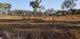 Photo - Lot 1 Redheads Road, Koumala QLD 4738 - Image 13