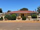 Photo - Lot 1 Rifle Street, Wagin WA 6315 - Image 2