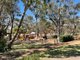 Photo - Lot 1 Rifle Street, Wagin WA 6315 - Image 29