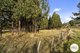 Photo - Lot 1 Rockmount Road, Ellendale TAS 7140 - Image 6