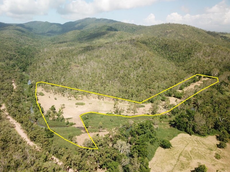 Lot 1 Saltwater Creek Road, Palm Grove QLD 4800