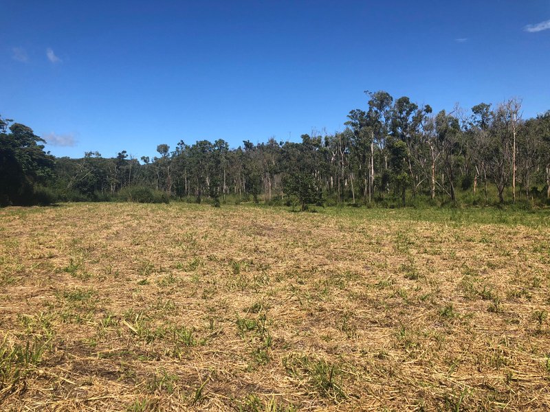 Photo - Lot 1 Saltwater Creek Road, Palm Grove QLD 4800 - Image 3