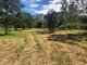 Photo - Lot 1 Saltwater Creek Road, Palm Grove QLD 4800 - Image 4