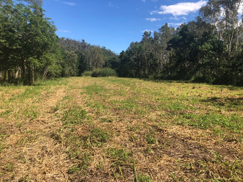 Photo - Lot 1 Saltwater Creek Road, Palm Grove QLD 4800 - Image 5