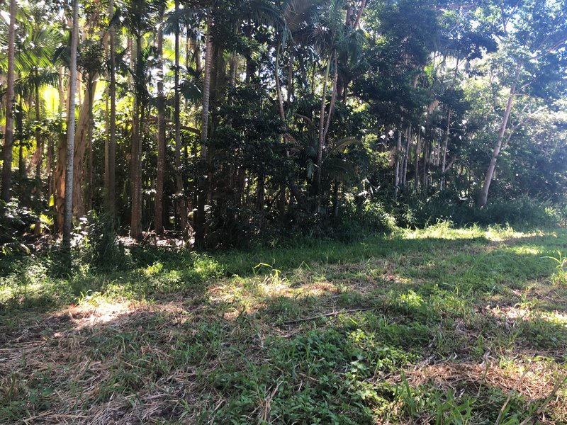 Photo - Lot 1 Saltwater Creek Road, Palm Grove QLD 4800 - Image 6