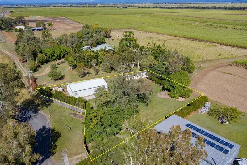 Photo - Lot 1 Sawmill Drive, Myrtlevale QLD 4800 - Image 7