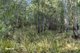 Photo - Lot 1 Scarrs Road, Garden Island Creek TAS 7112 - Image 5