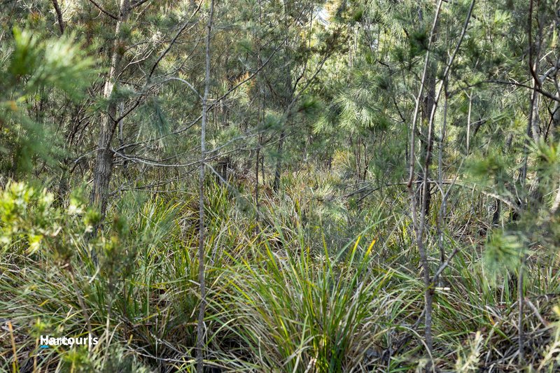 Photo - Lot 1 Scarrs Road, Garden Island Creek TAS 7112 - Image 17