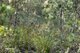 Photo - Lot 1 Scarrs Road, Garden Island Creek TAS 7112 - Image 17