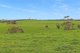 Photo - Lot 1 Scott Road, Buffalo VIC 3958 - Image 3