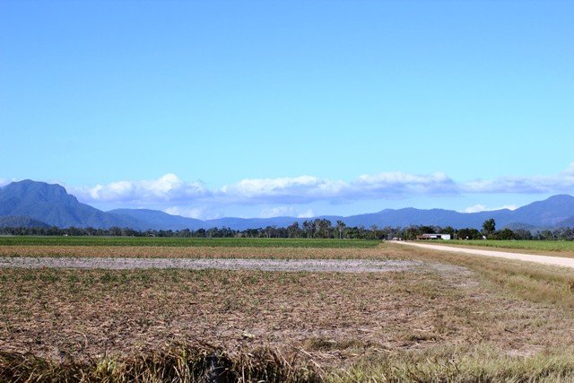 Lot 1 Scotts Road, Lannercost QLD 4850