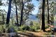 Photo - Lot 1 Selbys Road, Budgong NSW 2577 - Image 1