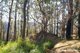 Photo - Lot 1 Selbys Road, Budgong NSW 2577 - Image 5