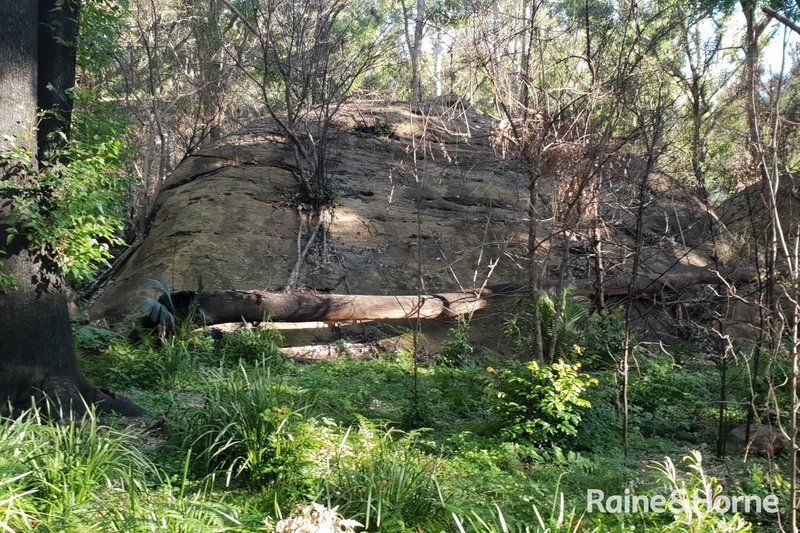 Photo - Lot 1 Selbys Road, Budgong NSW 2577 - Image 9