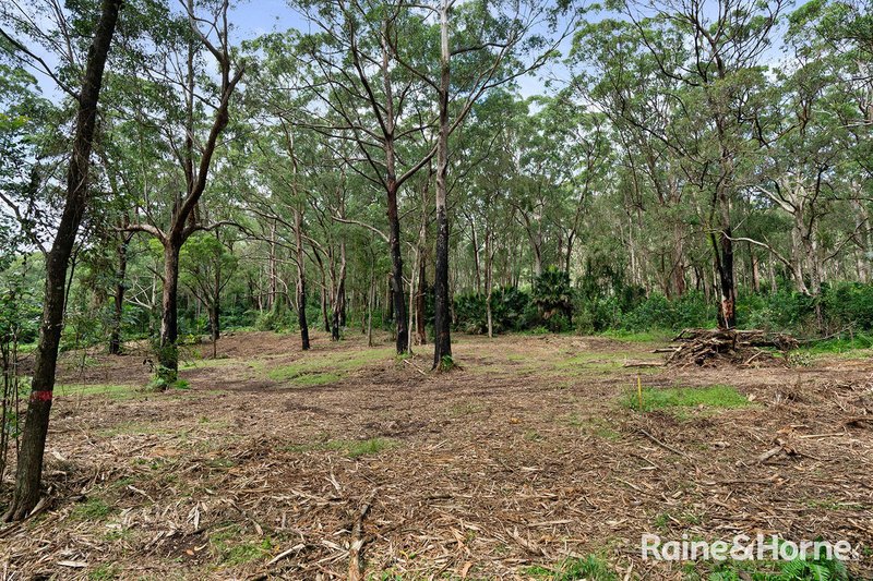 Photo - Lot 1 Selbys Road, Budgong NSW 2577 - Image 13