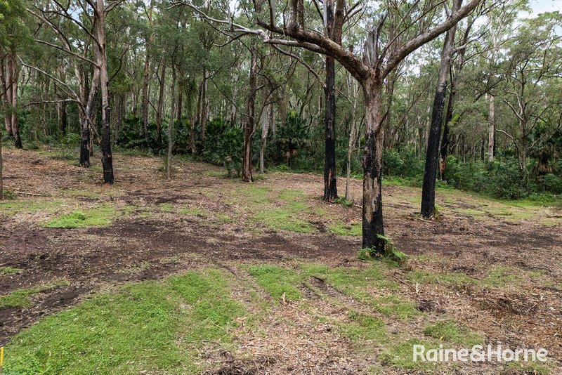 Photo - Lot 1 Selbys Road, Budgong NSW 2577 - Image 16