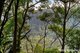 Photo - Lot 1 Selbys Road, Budgong NSW 2577 - Image 22