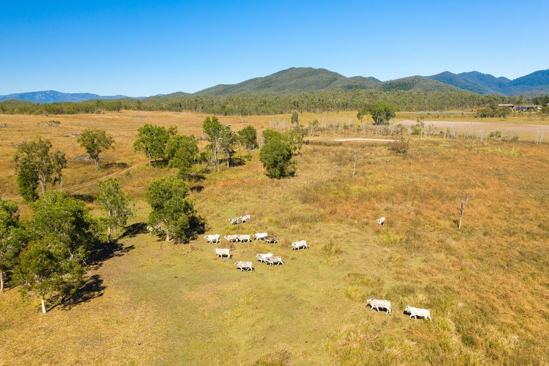 Photo - Lot 1 Silver Creek Road, Silver Creek QLD 4800 - Image 2