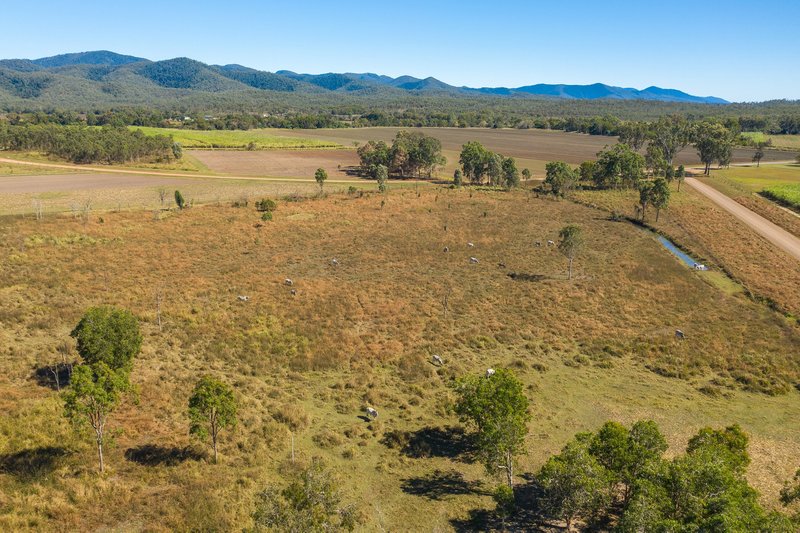 Photo - Lot 1 Silver Creek Road, Silver Creek QLD 4800 - Image 7