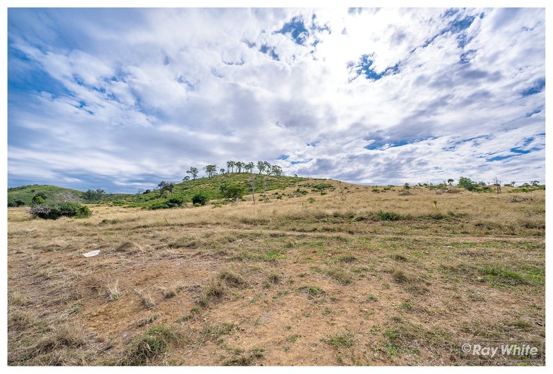 Photo - Lot 1 Sisalana Road, Marmor QLD 4702 - Image 19