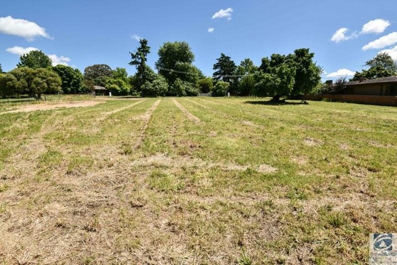 Photo - Lot 1 Spring Street, Beechworth VIC 3747 - Image 3