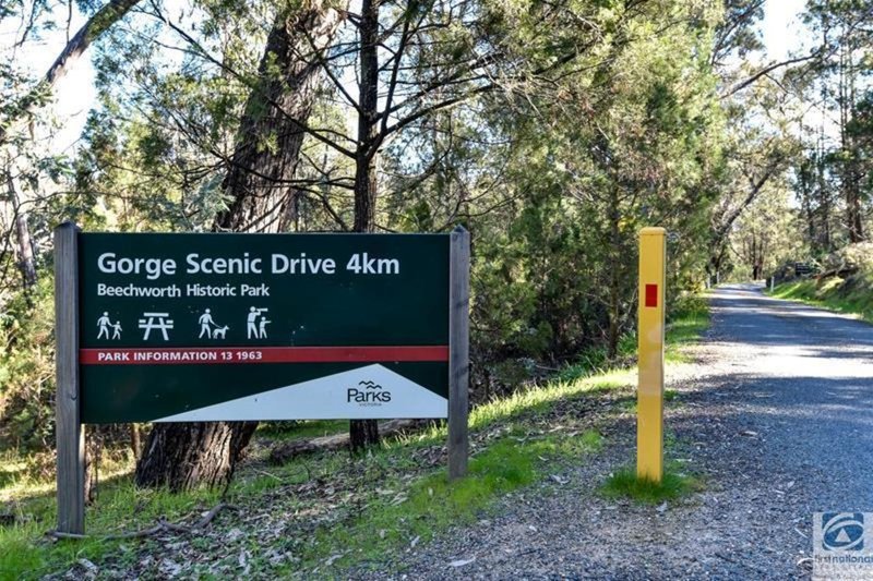 Photo - Lot 1 Spring Street, Beechworth VIC 3747 - Image 9