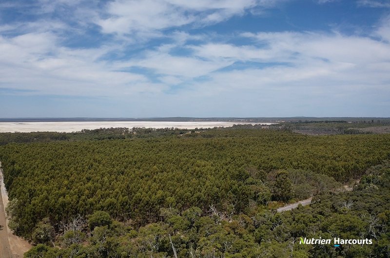 Photo - Lot 1 Thomson Road, Lake Muir WA 6258 - Image 2