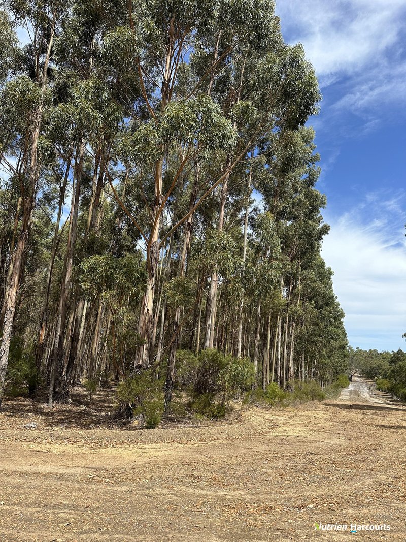 Photo - Lot 1 Thomson Road, Lake Muir WA 6258 - Image 10