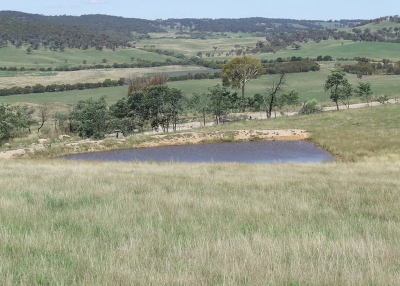 Lot 1 Tyrl Tyrl Road, Golspie NSW 2580