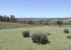 Photo - Lot 1 Tyrl Tyrl Road, Golspie NSW 2580 - Image 19