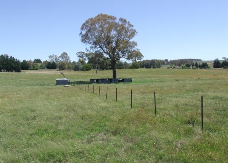 Photo - Lot 1 Tyrl Tyrl Road, Golspie NSW 2580 - Image 20