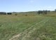 Photo - Lot 1 Tyrl Tyrl Road, Golspie NSW 2580 - Image 21