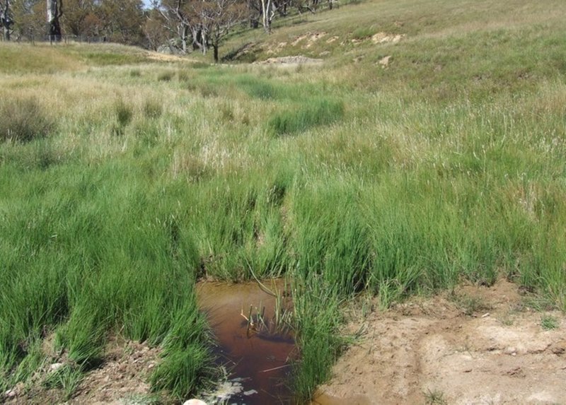 Photo - Lot 1 Tyrl Tyrl Road, Golspie NSW 2580 - Image 24