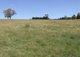 Photo - Lot 1 Tyrl Tyrl Road, Golspie NSW 2580 - Image 25