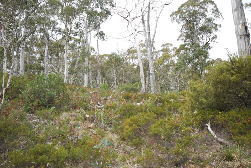 Photo - Lot 1 Victoria Valley Road, Victoria Valley TAS 7140 - Image 3