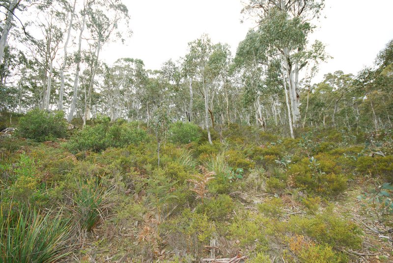 Photo - Lot 1 Victoria Valley Road, Victoria Valley TAS 7140 - Image 5