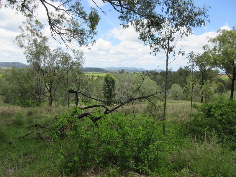 Photo - Lot 1 Walters Road, New Moonta QLD 4671 - Image 2