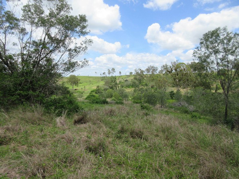 Photo - Lot 1 Walters Road, New Moonta QLD 4671 - Image 7