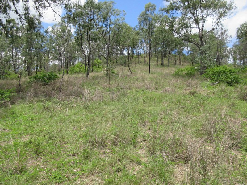 Photo - Lot 1 Walters Road, New Moonta QLD 4671 - Image 9