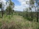 Photo - Lot 1 Walters Road, New Moonta QLD 4671 - Image 10