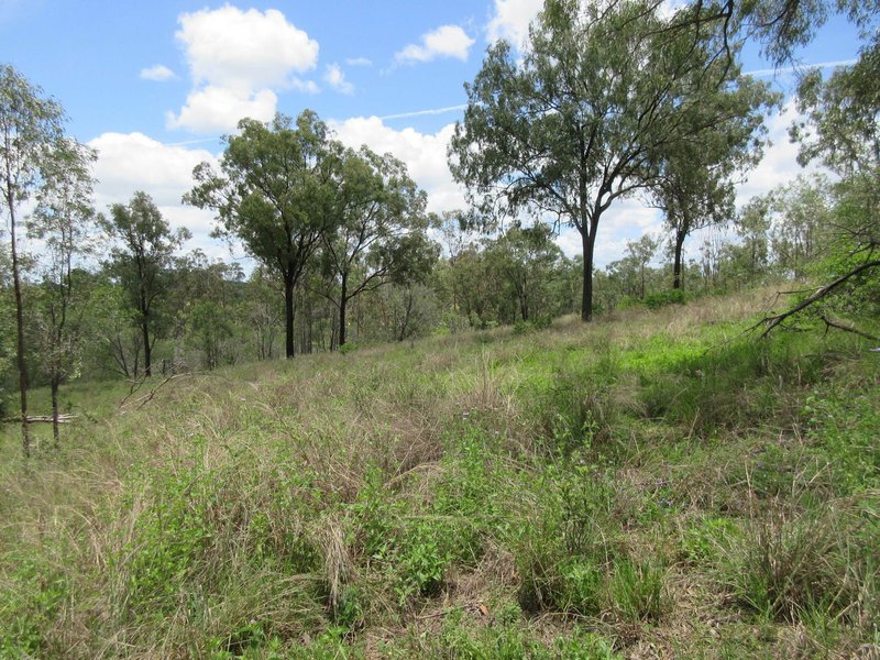 Photo - Lot 1 Walters Road, New Moonta QLD 4671 - Image 11