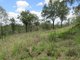 Photo - Lot 1 Walters Road, New Moonta QLD 4671 - Image 11