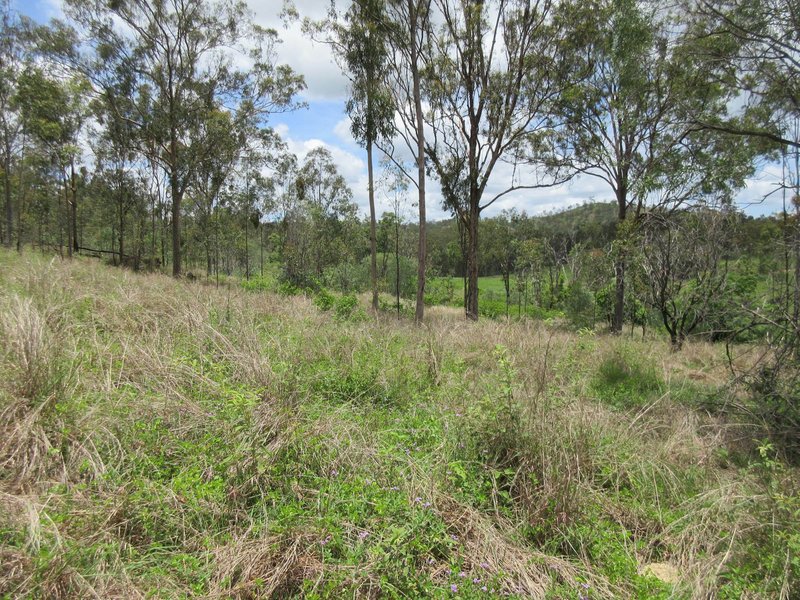 Photo - Lot 1 Walters Road, New Moonta QLD 4671 - Image 12