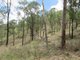 Photo - Lot 1 Walters Road, New Moonta QLD 4671 - Image 15