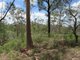 Photo - Lot 1 Walters Road, New Moonta QLD 4671 - Image 16