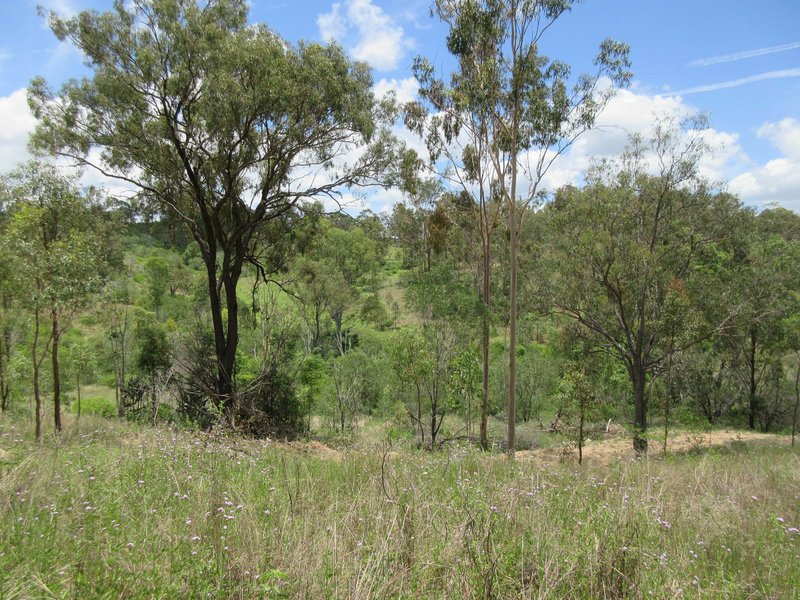 Photo - Lot 1 Walters Road, New Moonta QLD 4671 - Image 17