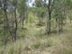 Photo - Lot 1 Walters Road, New Moonta QLD 4671 - Image 18